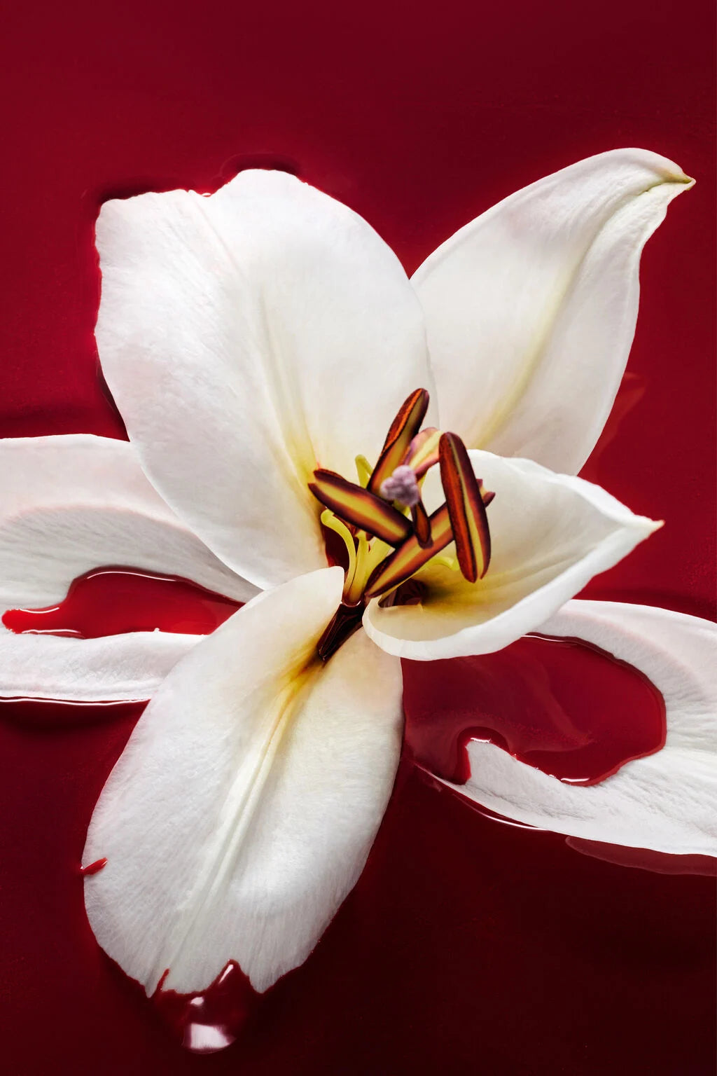 Hypnotic Poison Eau de Toilette