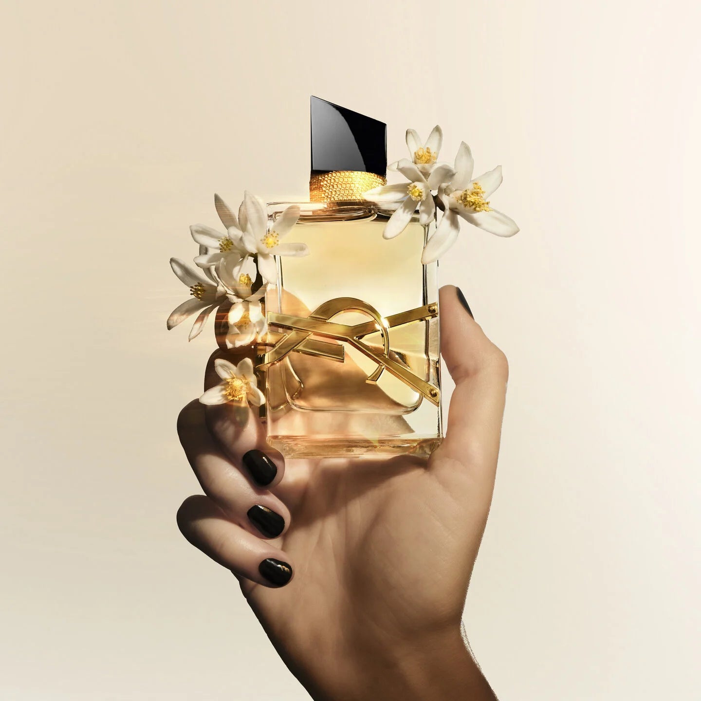 YSL Libre Eau de Parfum · Decant